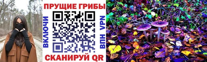 Псилоцибиновые грибы мицелий  Бутурлиновка 